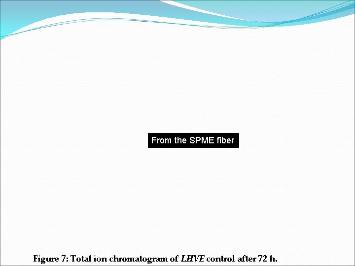 From the SPME fiber Figure 7: Total ion chromatogram of LHVE control after 72