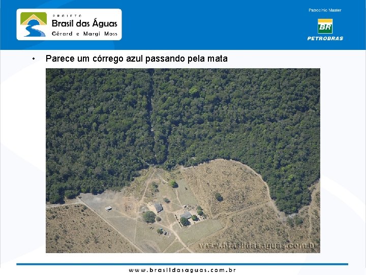  • Parece um córrego azul passando pela mata 