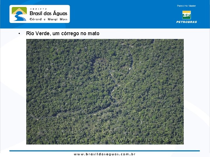  • Rio Verde, um córrego no mato 