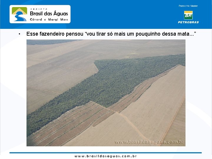  • Esse fazendeiro pensou “vou tirar só mais um pouquinho dessa mata. .