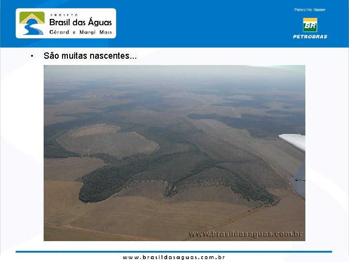  • São muitas nascentes. . . 