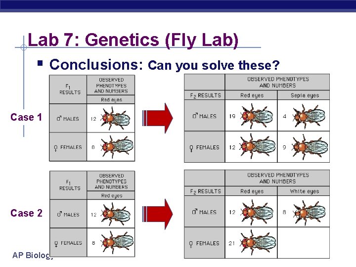 Lab 7: Genetics (Fly Lab) § Conclusions: Can you solve these? Case 1 Case