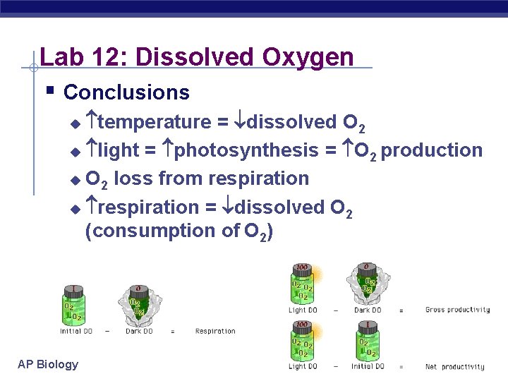 Lab 12: Dissolved Oxygen § Conclusions temperature = dissolved O 2 u light =