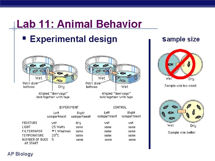 Lab 11: Animal Behavior § Experimental design AP Biology sample size 