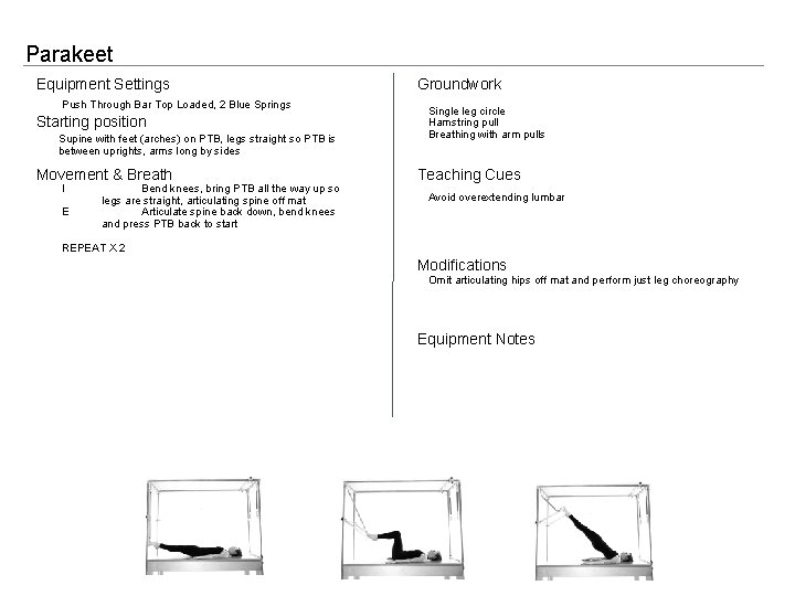 Parakeet Equipment Settings Push Through Bar Top Loaded, 2 Blue Springs Starting position Supine