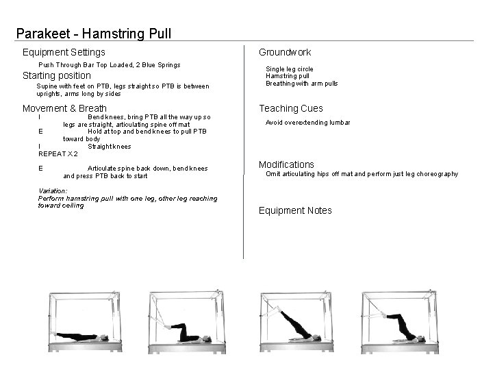 Parakeet - Hamstring Pull Equipment Settings Push Through Bar Top Loaded, 2 Blue Springs