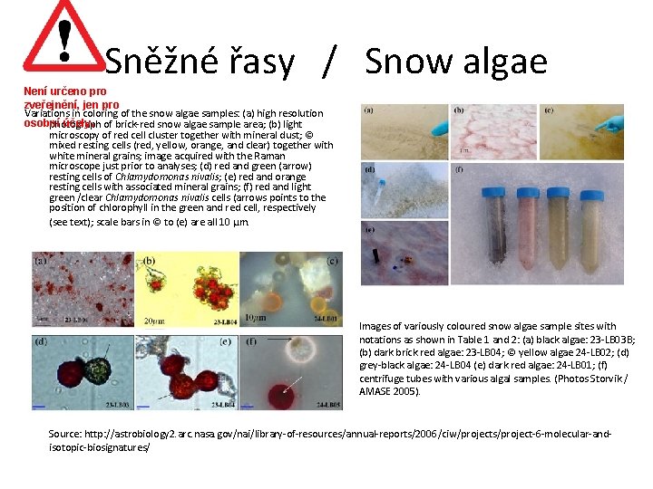 Sněžné řasy / Snow algae Není určeno pro zveřejnění, jen pro Variations in coloring