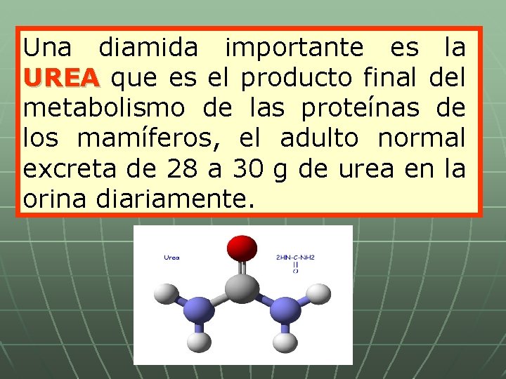 Una diamida importante es la UREA que es el producto final del UREA metabolismo