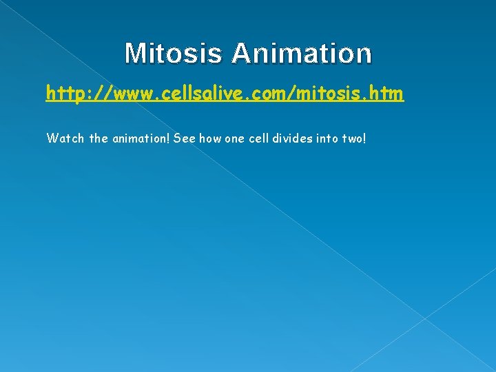 Mitosis Animation http: //www. cellsalive. com/mitosis. htm Watch the animation! See how one cell