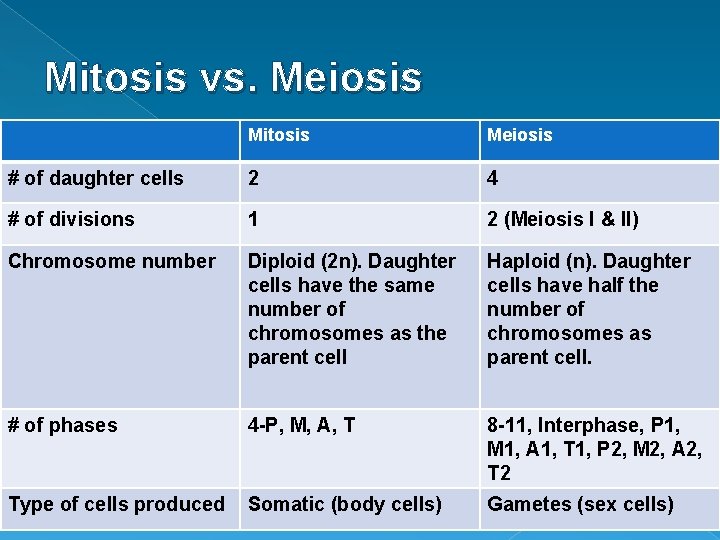 Mitosis vs. Meiosis Mitosis Meiosis # of daughter cells 2 4 # of divisions
