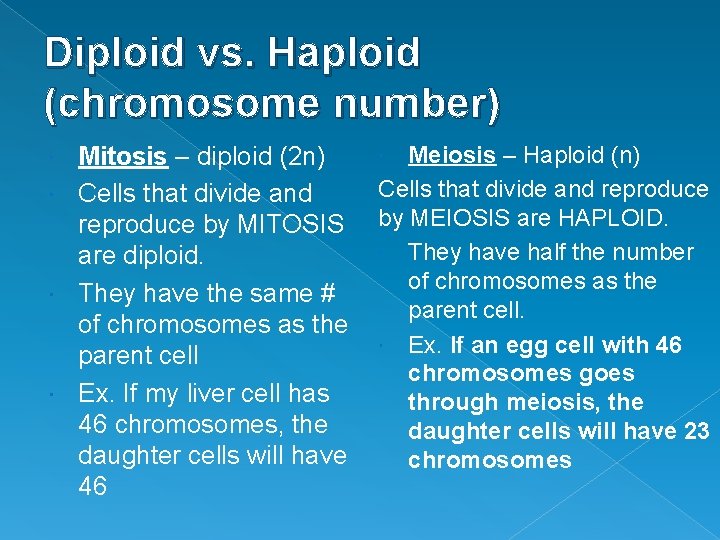 Diploid vs. Haploid (chromosome number) Mitosis – diploid (2 n) Cells that divide and