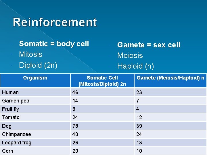 Reinforcement Somatic = body cell Mitosis Diploid (2 n) Organism Gamete = sex cell