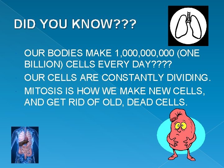 DID YOU KNOW? ? ? OUR BODIES MAKE 1, 000, 000 (ONE BILLION) CELLS