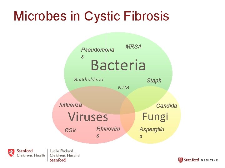 Microbes in Cystic Fibrosis MRSA Pseudomona s Bacteria Burkholderia Staph NTM Influenza Viruses RSV