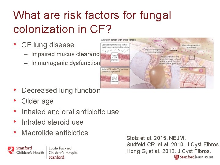 What are risk factors for fungal colonization in CF? • CF lung disease –