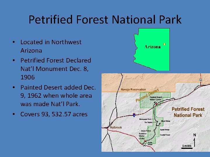 Petrified Forest National Park • Located in Northwest Arizona • Petrified Forest Declared Nat’l