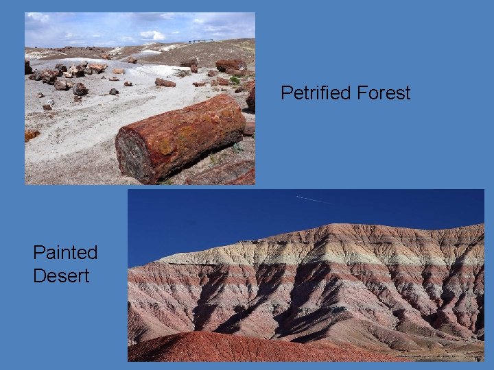 Petrified Forest Painted Desert 