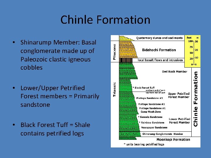 Chinle Formation • Shinarump Member: Basal conglomerate made up of Paleozoic clastic igneous cobbles