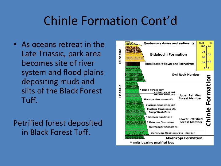 Chinle Formation Cont’d • As oceans retreat in the Late Triassic, park area becomes