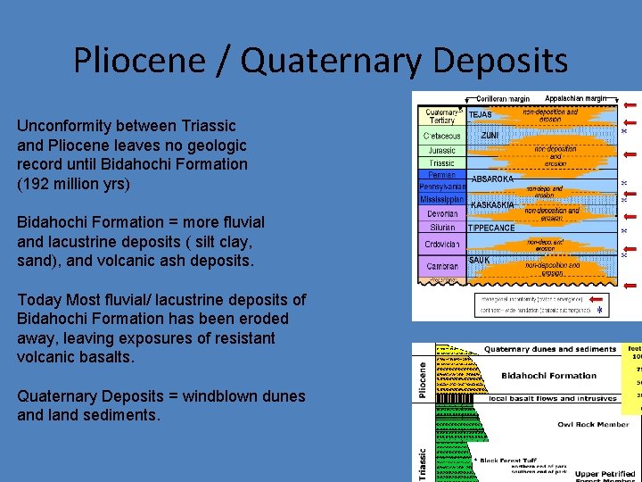 Pliocene / Quaternary Deposits Unconformity between Triassic and Pliocene leaves no geologic record until