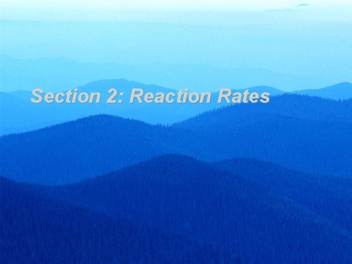 Section 2: Reaction Rates 