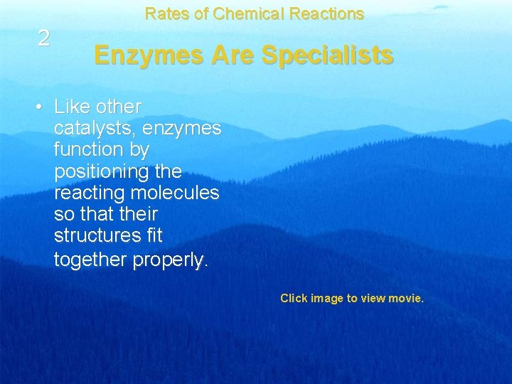 Rates of Chemical Reactions 2 Enzymes Are Specialists • Like other catalysts, enzymes function