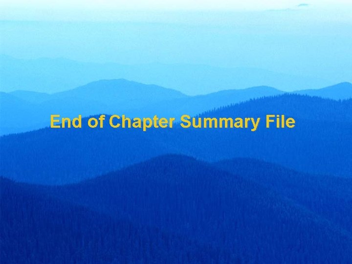 End of Chapter Summary File 