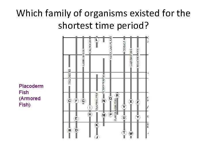 Which family of organisms existed for the shortest time period? Placoderm Fish (Armored Fish)