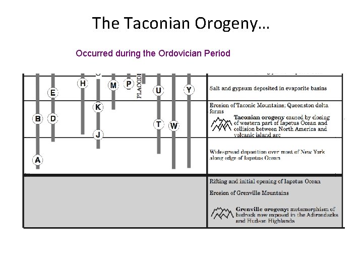 The Taconian Orogeny… Occurred during the Ordovician Period 