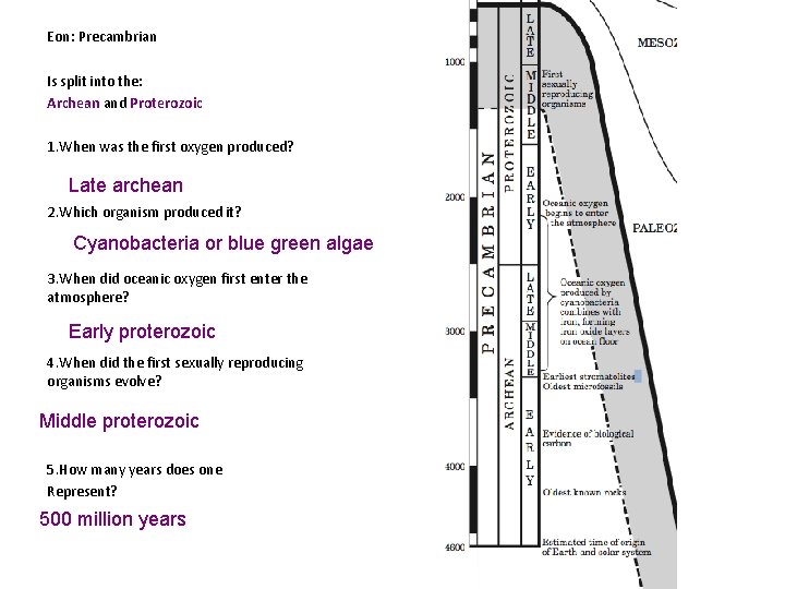 Eon: Precambrian Is split into the: Archean and Proterozoic 1. When was the first