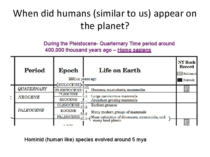 When did humans (similar to us) appear on the planet? During the Pleistocene- Quarternary
