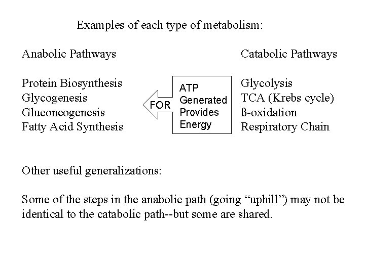 Examples of each type of metabolism: Anabolic Pathways Protein Biosynthesis Glycogenesis Gluconeogenesis Fatty Acid