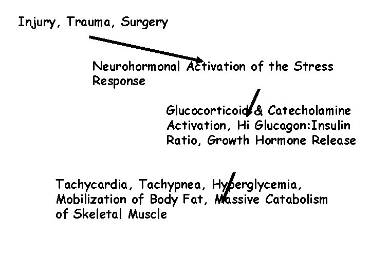 Injury, Trauma, Surgery Neurohormonal Activation of the Stress Response Glucocorticoid & Catecholamine Activation, Hi