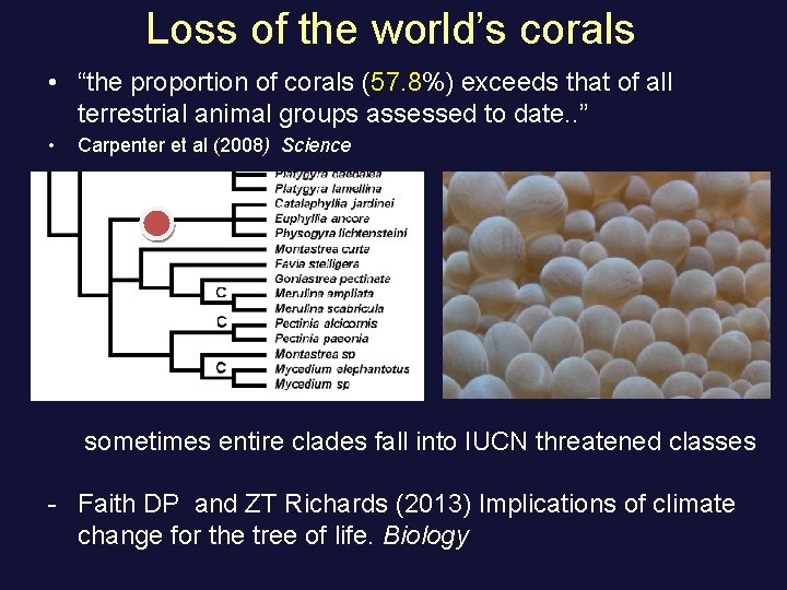 Loss of the world’s corals • “the proportion of corals (57. 8%) exceeds that