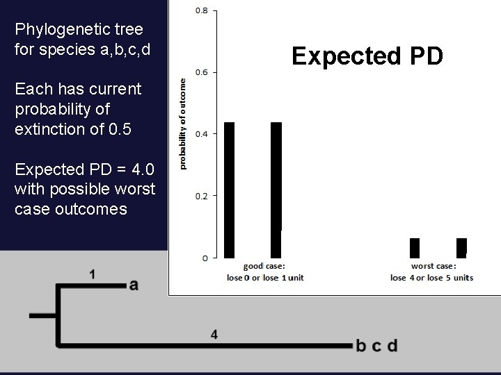 Phylogenetic tree for species a, b, c, d Each has current probability of extinction