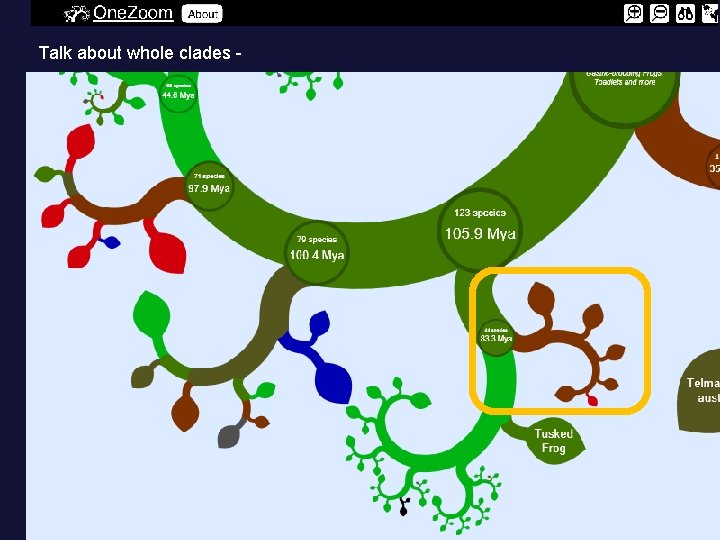 Talk about whole clades - 