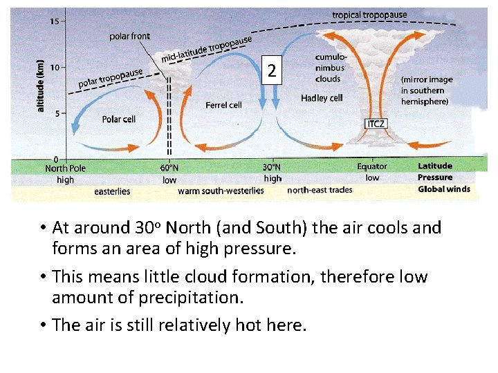 2 • At around 30 o North (and South) the air cools and forms