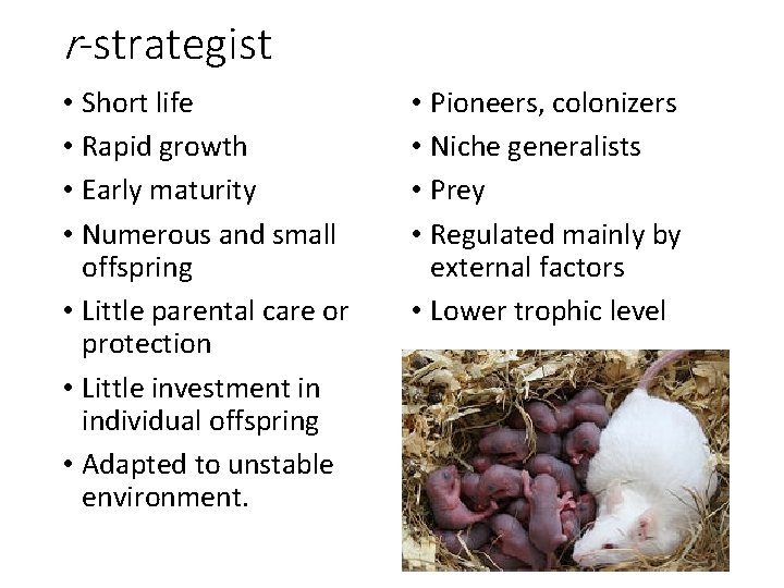 r-strategist • Short life • Rapid growth • Early maturity • Numerous and small