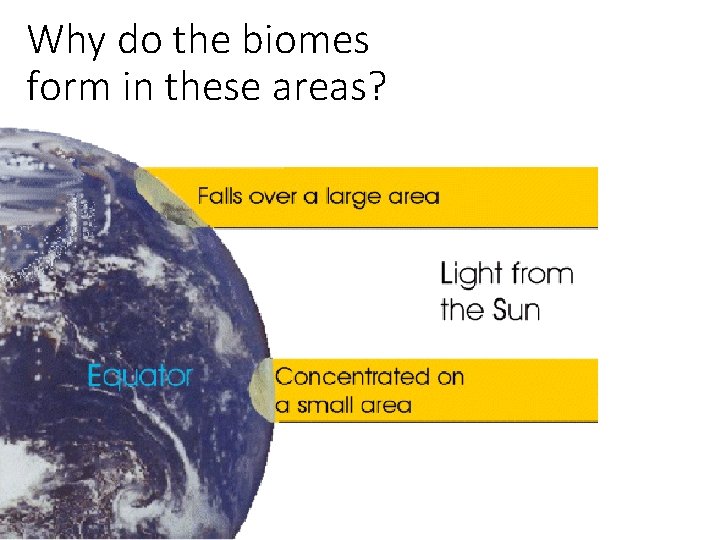 Why do the biomes form in these areas? 