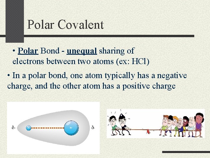 Polar Covalent • Polar Bond - unequal sharing of electrons between two atoms (ex: