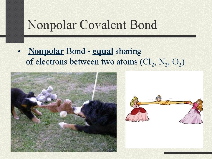 Nonpolar Covalent Bond • Nonpolar Bond - equal sharing of electrons between two atoms