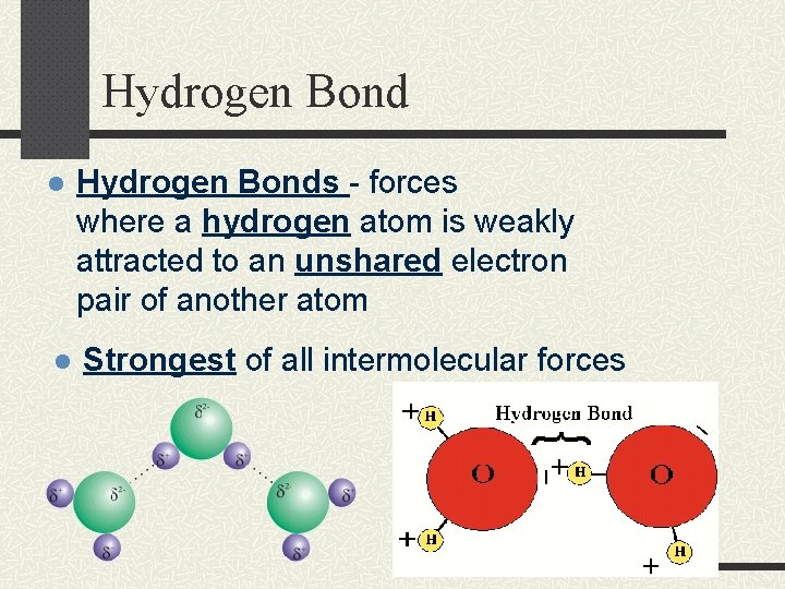 Hydrogen Bond l Hydrogen Bonds - forces where a hydrogen atom is weakly attracted