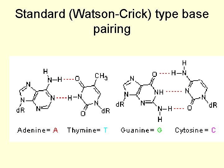 Standard (Watson-Crick) type base pairing 