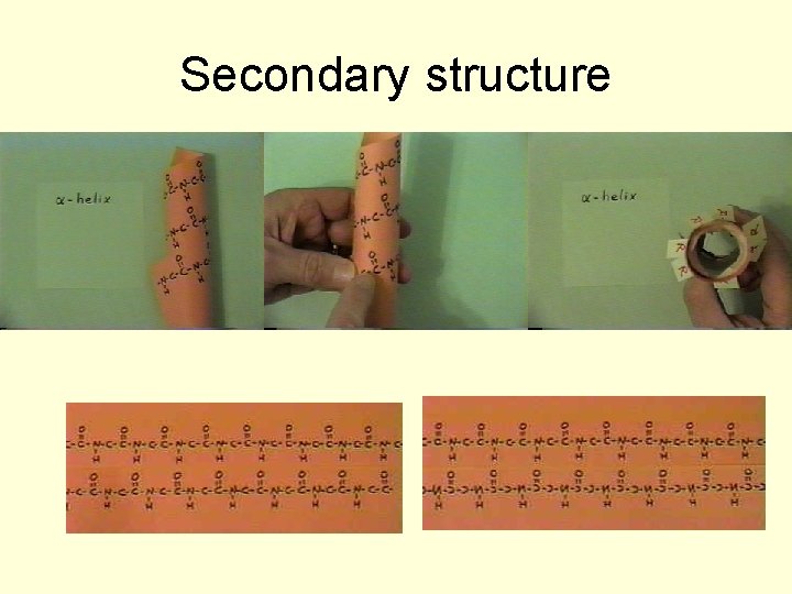 Secondary structure 