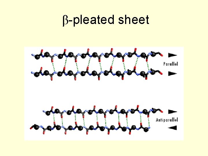 β-pleated sheet 