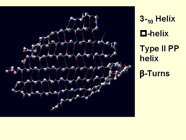 3 -10 Helix p-helix Type II PP helix b-Turns 