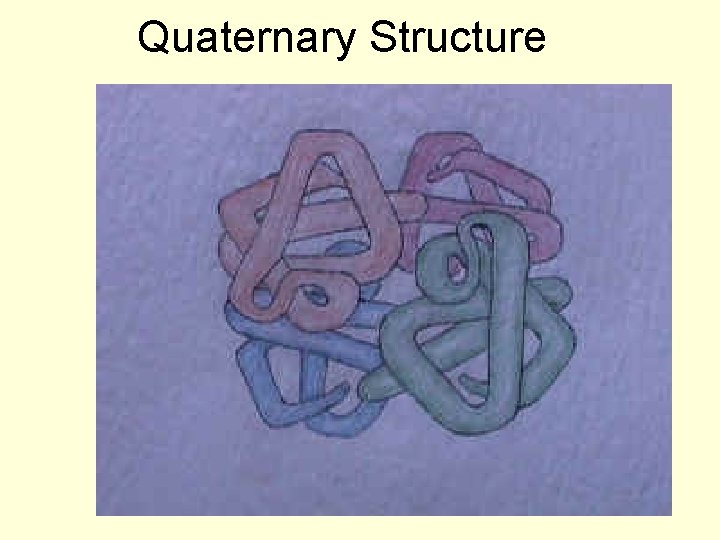 Quaternary Structure 