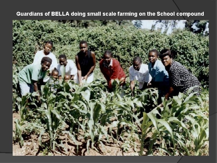 Guardians of BELLA doing small scale farming on the School compound 