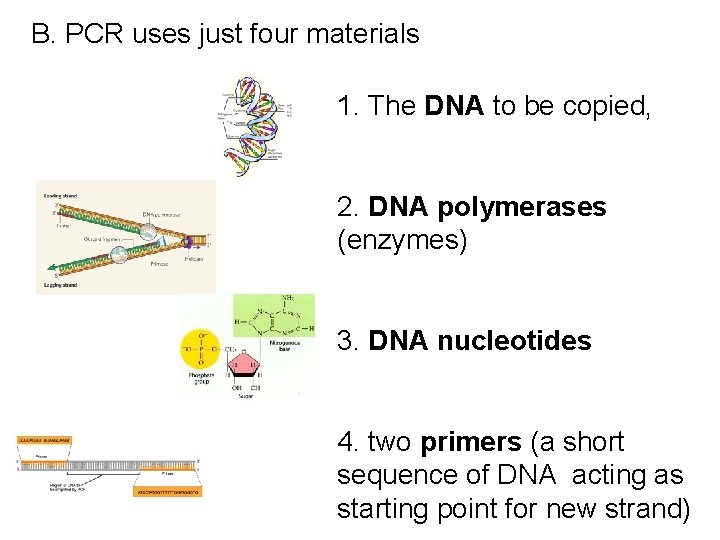 B. PCR uses just four materials 1. The DNA to be copied, 2. DNA B. PCR uses just four materials 1. The DNA to be copied, 2. DNA