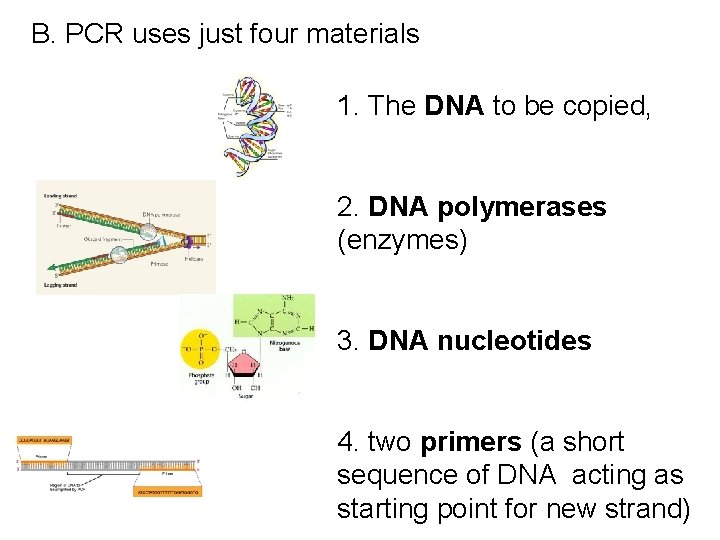 B. PCR uses just four materials 1. The DNA to be copied, 2. DNA